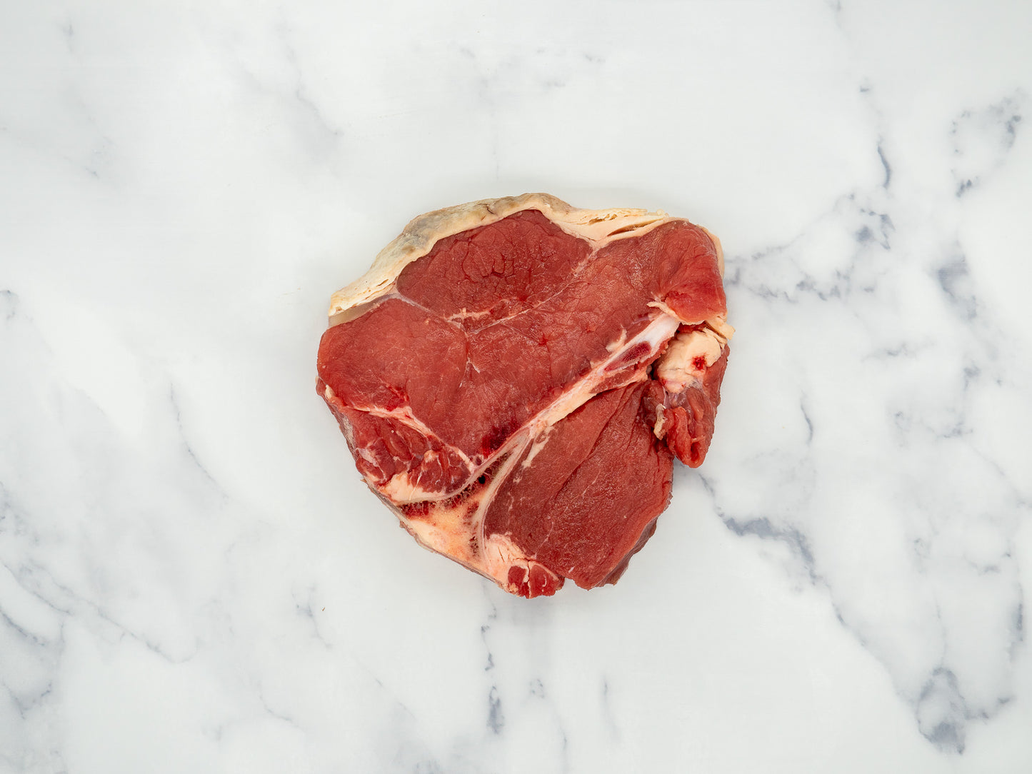Premium Angus T-Bone Steak